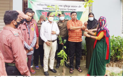 কুলাউড়ায় ভিডিপি সদস্যদের মাঝে চারা বিতরণ
