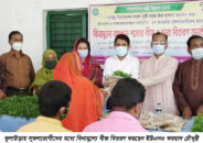 কুলাউড়ায় সুফলভোগীদের মধ্যে বিনামূল্যে বীজ বিতরণ