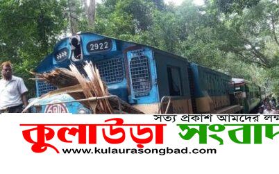 লাউয়াছড়ায় ট্রেনের উপর আছড়ে পড়লো গাছ, রেল যোগাযোগ বন্ধ