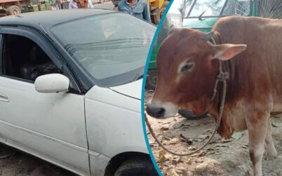 কুলাউড়ায় গরু চুরির চেষ্টাকালে আটক ১