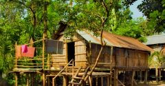 বিদ্যুৎ-বিদ্যালয়সহ মৌলিক সুবিধা থেকে বঞ্চিত খাসিয়া
